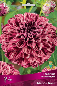 Семена Георгина многолетняя марбл болл 1 шт