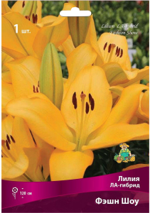 Луковица Лилии ЛА-гибрид ПОИСК Фэшн Шоу