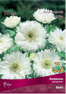Луковицы анемоны ПОИСК Вайт 10 шт