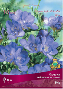 Луковицы фрезии ПОИСК Блу 10 шт