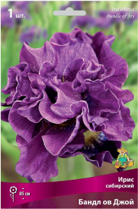Луковица Ириса ПОИСК Бандл ов Джой