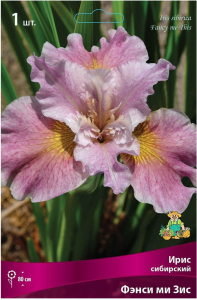 Луковица Ириса ПОИСК Фэнси ми Зис