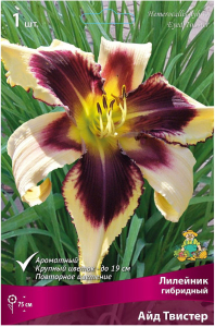 Луковица Лилейника ПОИСК Айд Твистер