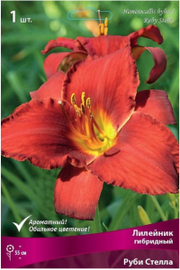 Луковица Лилейника ПОИСК Руби Стелла