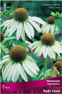 Корневище Эхинацеи ПОИСК Вайт Свон