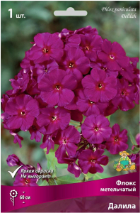 Корневище Флокса ПОИСК Далила