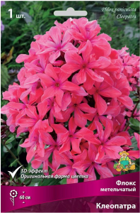 Корневище Флокса ПОИСК Клеопатра