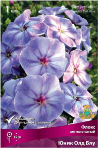 Корневище Флокса ПОИСК Юник Олд Блу