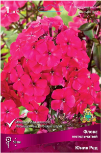 Корневище Флокса ПОИСК Юник Ред