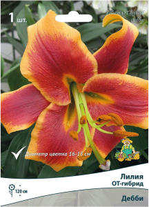 Луковицы лилии ОТ-гибрид ПОИСК Дебби 1 шт