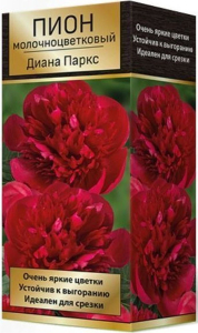 Корневище Пиона ПОИСК Диана Паркс