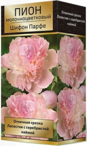 Корневище Пиона ПОИСК Шифон Парфе