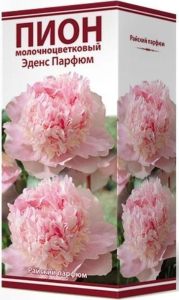 Корневище Пиона ПОИСК Эденс Парфюм