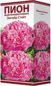 Корневище Пиона ПОИСК Эмпайр Стейт