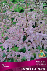 Луковица астильбы китайской ПОИСК Глиттер Энд Гламур 1 шт