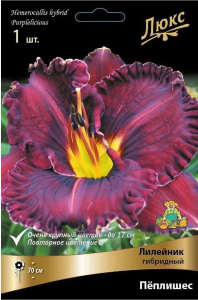 Луковица лилейника гибридного ПОИСК Пеплишес 1 шт