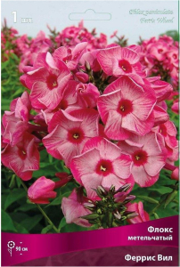Луковица флокса метельчатого ПОИСК Феррис Вил 1 шт