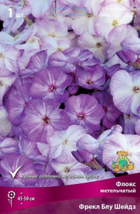 Луковицы флокс многолетний Фрекл Блу Шейдз 1 шт