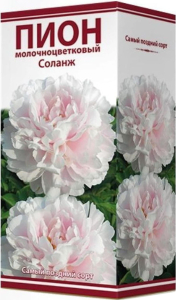 Луковица пиона молочноцветкового ПОИСК Соланж 1 шт