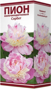 Луковица пиона молочноцветкового ПОИСК Сорбет 1 шт