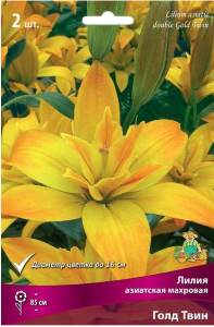 Луковица Лилии азиатской махровой ПОИСК Голд Твин 