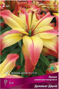 Луковица Лилии ПОИСК Деликат Джой 
