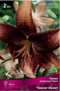 Луковицы лилии азиатской танго ПОИСК Чоклат Ивент 2 шт