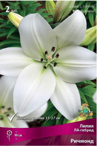 Луковицы лилии ла-гибрид ПОИСК Ричмонд 2 шт
