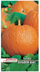 Семена Тыквы крупноплодной ПОИСК Авторские сорта и гибриды Большой Макс 10 шт