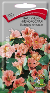 Семена Настурции низкорослой ПОИСК Малышка лососевая 1 г