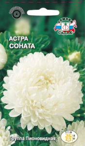 Семена Астры СеДеК Соната 3 г
