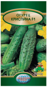Семена Огурца ПОИСК Криспина F1 12 шт