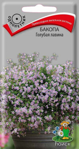 Семена Бакопа ПОИСК Голубая лавина 5 шт