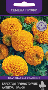 Семена Бархатца ПОИСК Голландская Селекция Прямостоячие Антигуа Оранж 15 шт