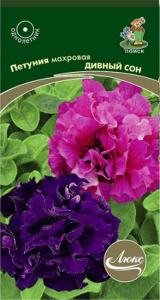 Семена Петунии махровой ПОИСК Дивный сон 10 шт