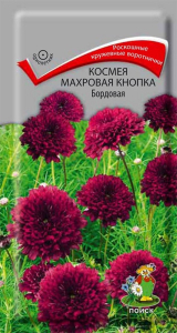 Семена Космеи ПОИСК Махровая кнопка бордовая 0,1 г