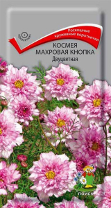 Семена Космеи ПОИСК Махровая кнопка двуцветная 0,1 г
