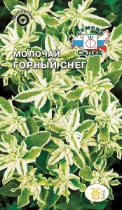 Семена Молочая СеДеК Горный снег 0,5 г
