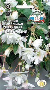 Семена Бегонии ампельной СеДеК Лапландия F1 белая 10 г