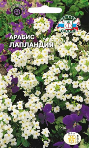 Семена Арабиса альпийского белого СеДеК Лапландия 0,1 г