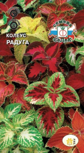 Семена Колеуса СеДеК Радуга смесь сортов 1 г