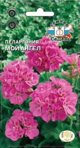 Семена Пеларгонии СеДеК Мой ангел 5 г