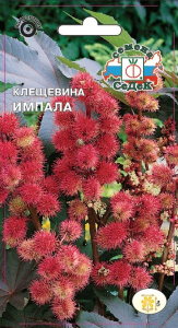 Семена Клещевины СеДеК Импала обыкновенная 2 г