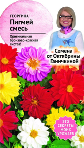 Семена Георгины Октябрина Ганичкина Пигмей 0,1 г