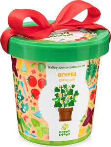 Набор для выращивания Happy Plant Огурец корнишон