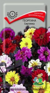 Семена Георгины ПОИСК Смуглянка 0,2 г