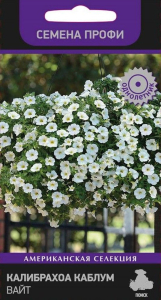Семена Калибрахоа ПОИСК Каблум Вайт 5 х 5 шт