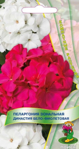 Семена Пеларгонии зональной ПОИСК Династия бело-фиолетовая 5 шт