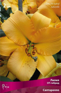 Луковицы лилии ПОИСК Салтарелло 1 шт