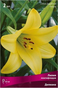 Луковицы лилии ПОИСК Делиана 2 шт